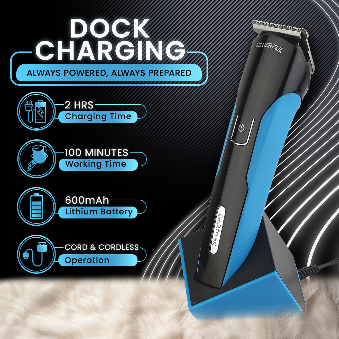 Groomiist Copper Series Corded/Cordless Beard Trimmer CS-42 with Quick Charging Dock: 100 Minutes Running Time & 10 Length Settings (Black & Blue)
